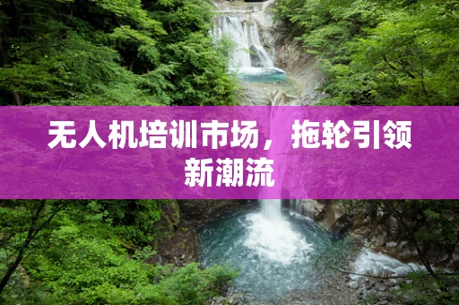 无人机培训市场，拖轮引领新潮流