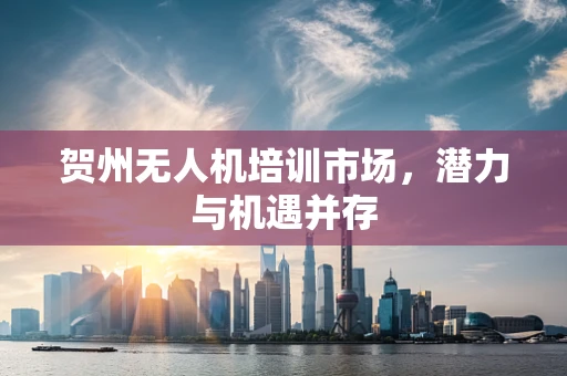 贺州无人机培训市场，潜力与机遇并存