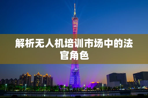 解析无人机培训市场中的法官角色